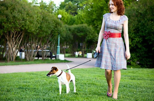 caociente-adestramento-de-caes-caminhada-cachorro2