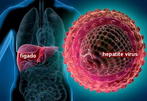 hepatite-virus1