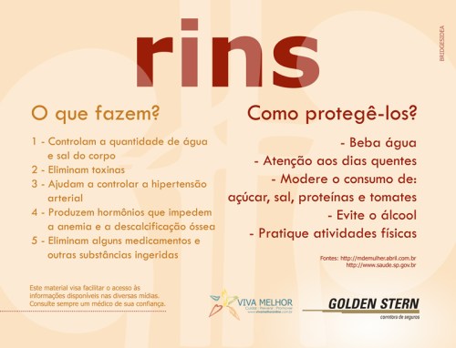 Campanha-RIM-2015