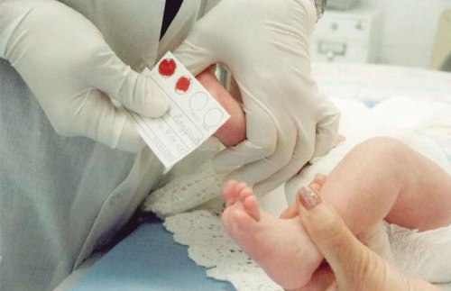 Teste-do-Pezinho-reprodução