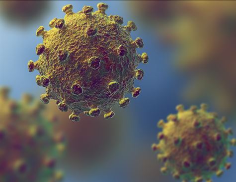 368533,475,80,0,0,475,365,0,0,0,0